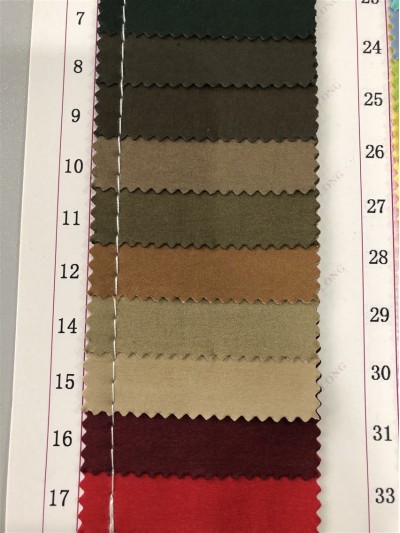 GZ-JNHE 810 尼龍面料  背囊/雨衣面料  細節-1